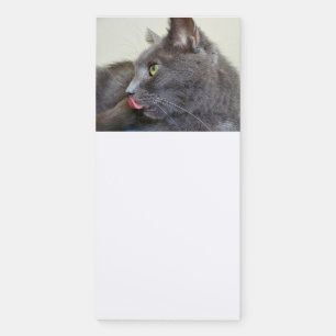 Grey cat magnetic notepad