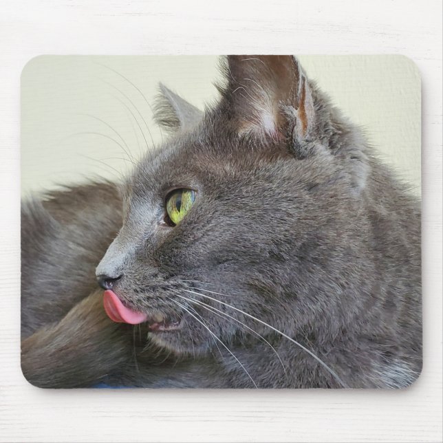 Grey cat mousepad (Front)