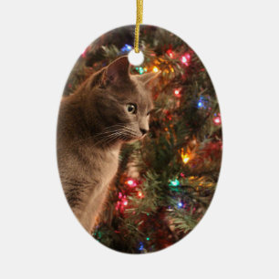 Grey cat ornament