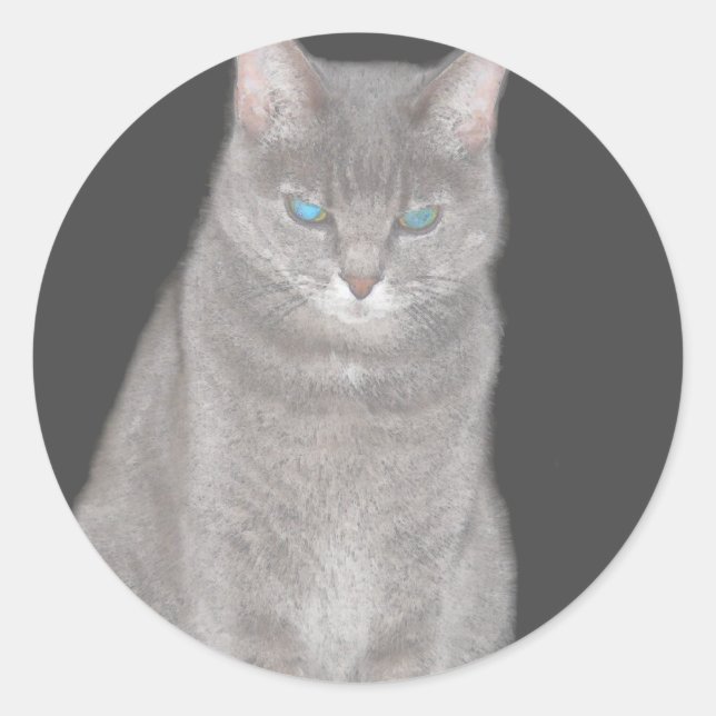 Grey Cat Sticker (Front)