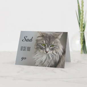 Grey Cat Sympathy Greeting Card