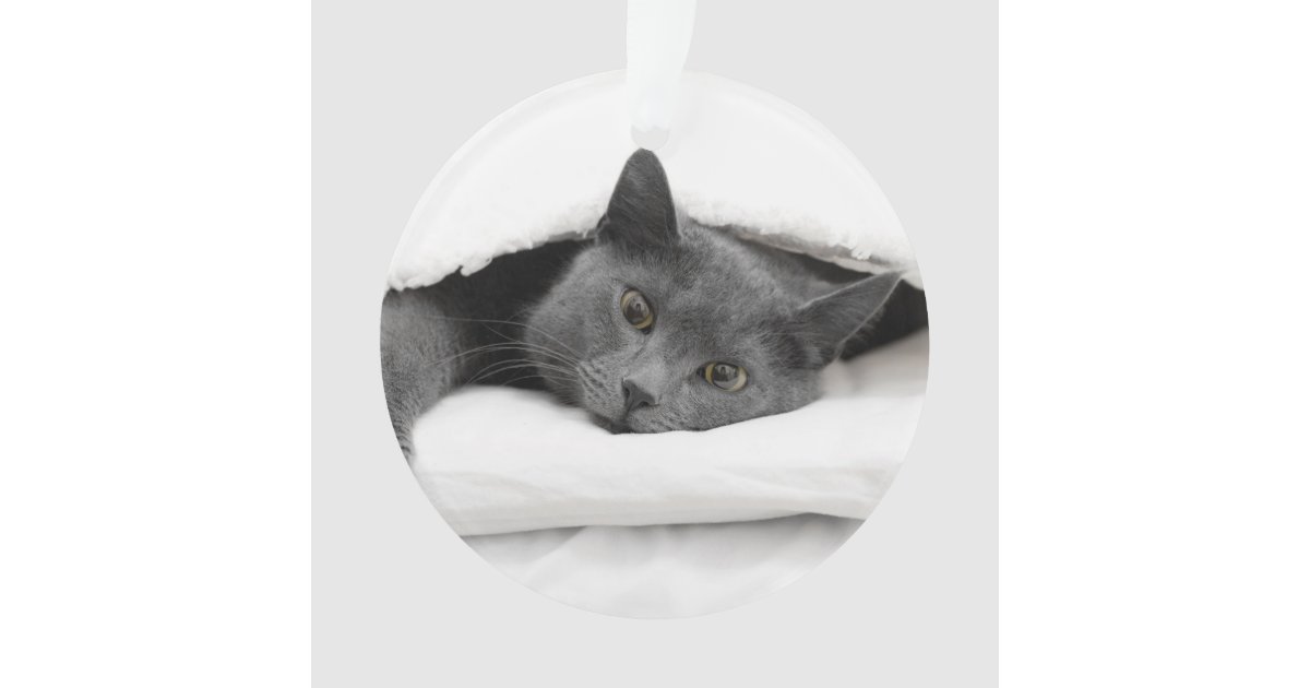 Grey Cat Under White Blanket Ornament Zazzle Com