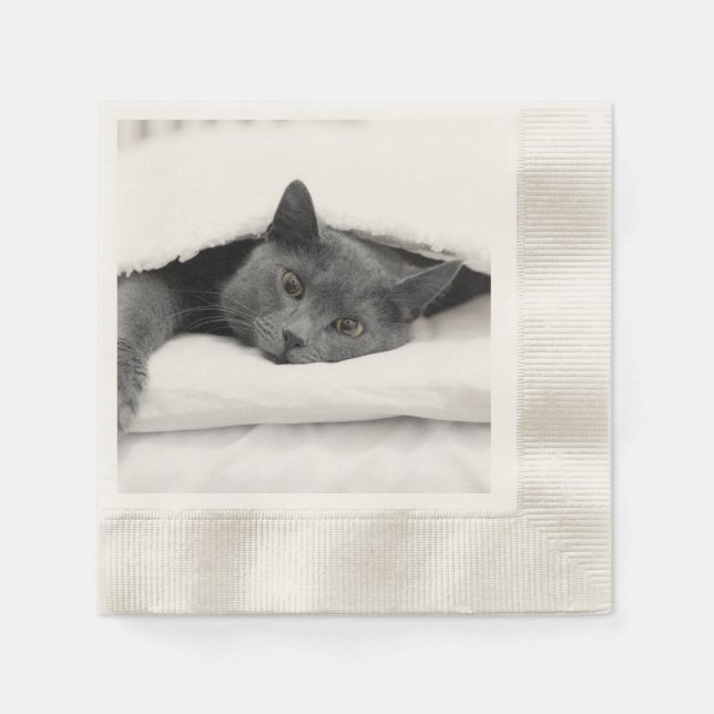 Grey Cat Under White Blanket Paper Napkins (Front)