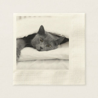 Grey Cat Under White Blanket Paper Napkins