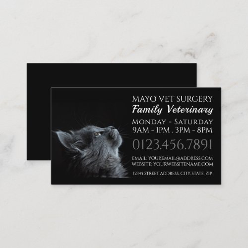 Grey Cat Veterinarian Veterinary Service Business Card