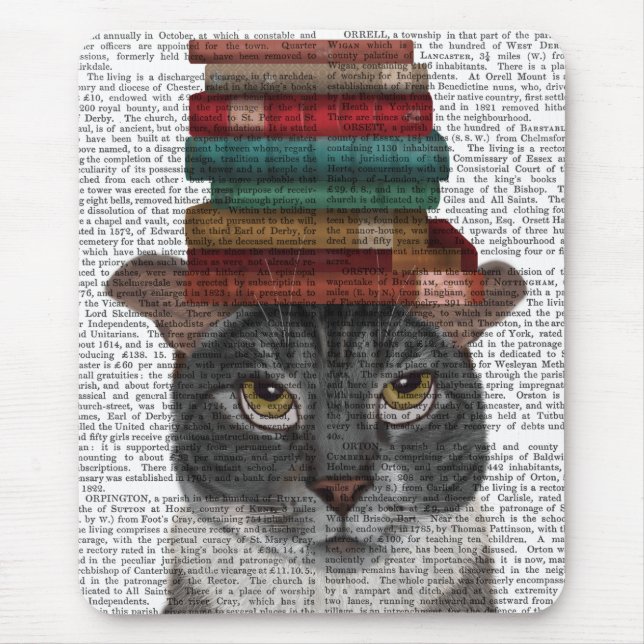 Grey Cat with Books on Head Mouse Pad (Front)