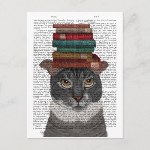 Grey Cat with Books on Head Postcard