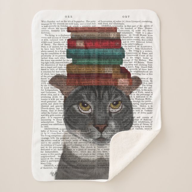Grey Cat with Books on Head Sherpa Blanket (Front)