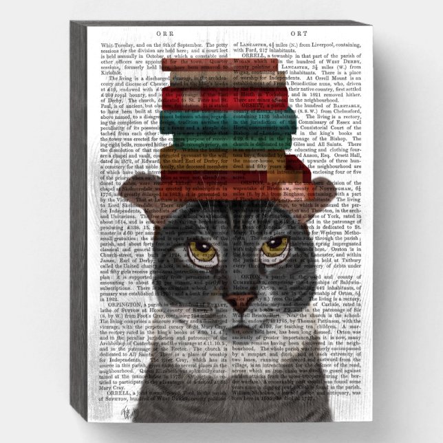 Grey Cat with Books on Head Wooden Box Sign (Front Vertical)