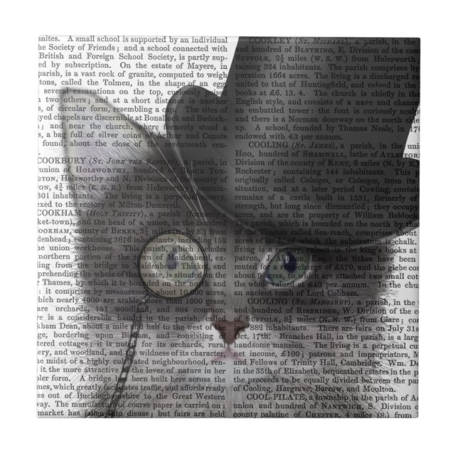 Grey Cat with Top Hat Ceramic Tile (Front)
