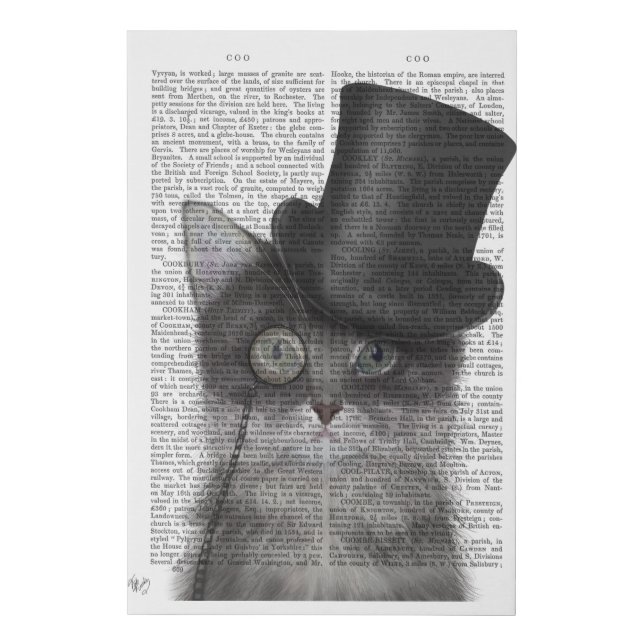 Grey Cat with Top Hat Faux Canvas Print (Front)