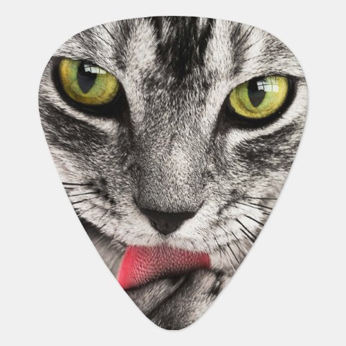 Grey Cat with Yellow Eyes Licking Paw Guitar Pick