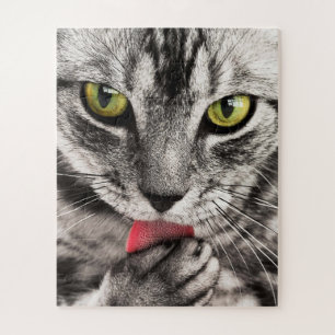 Grey Cat with Yellow Eyes Licking Paw Jigsaw Puzzle
