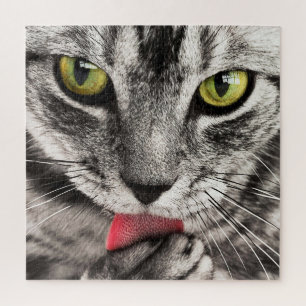 Grey Cat with Yellow Eyes Licking Paw Jigsaw Puzzle