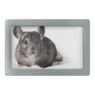 Grey Chinchilla Cute in Blanket Belt Buckle