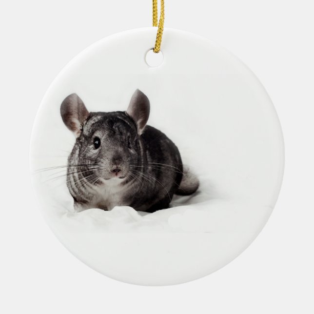 Grey Chinchilla Cute in Blanket Ceramic Ornament (Front)