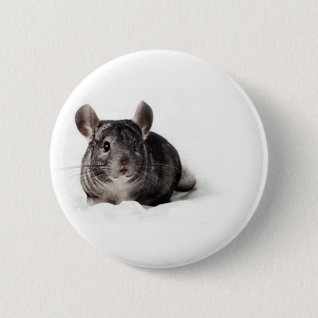 Grey Chinchilla Cute in Blanket Pinback Button (Front)