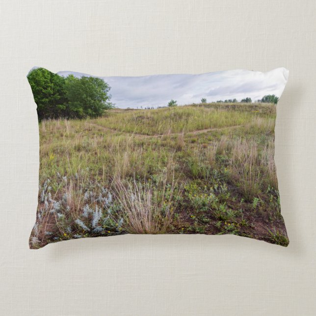 grey cloud dunes prairie landscape accent pillow (Front)