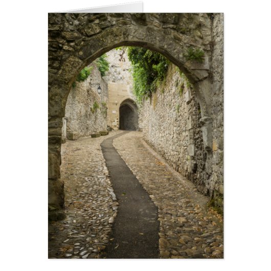 Grey Cobblestone street, France Cards (Front)