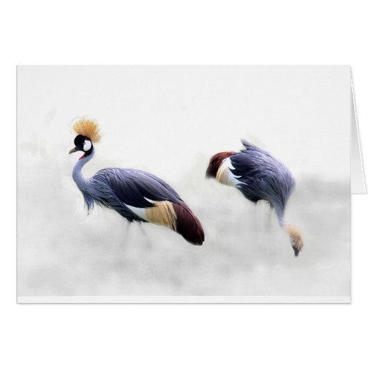 grey-crowned-crane (Front Horizontal)