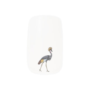 Grey crowned crane bird cartoon illustration  minx nail art