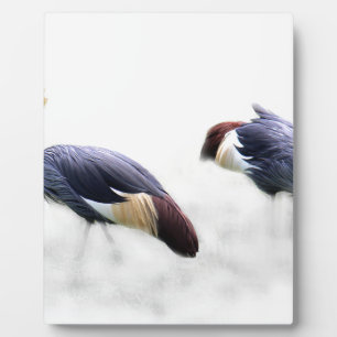 grey crowned crane bird wings feathers plaque