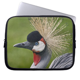 Grey Crowned Crane Laptop Sleeve