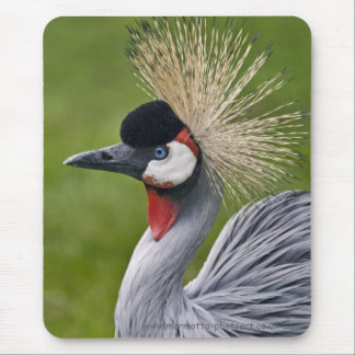 Grey Crowned Crane Mousemat Mouse Pad