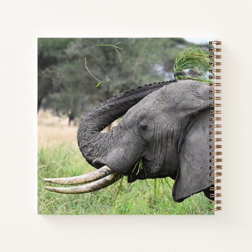 Grey_Crowned Crane Spiral Notebook