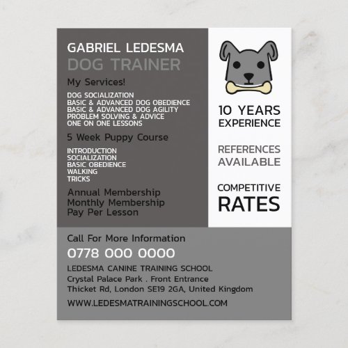 Grey Dog Dog Trainer Advertising Flyer