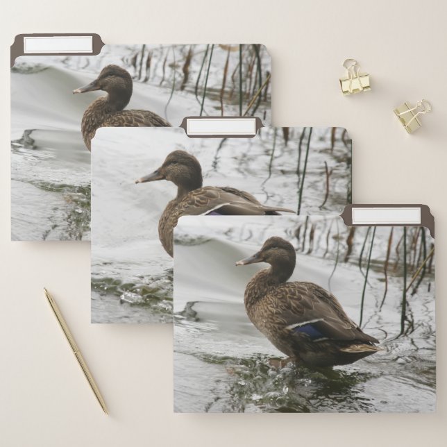 Grey duck on dark the lake file folder (Set)