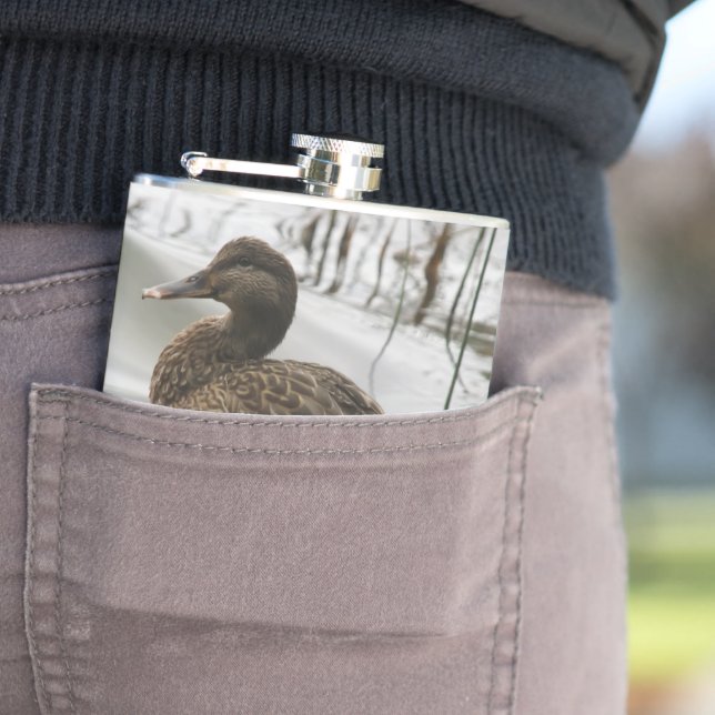 Grey duck on dark the lake flask (In Situ)