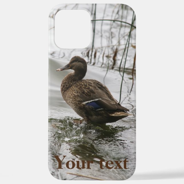 Grey duck on dark the lake iPhone case (Back)