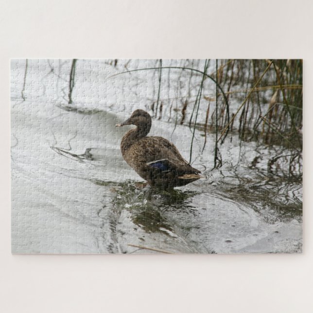 Grey duck on dark the lake jigsaw puzzle (Horizontal)