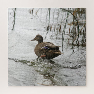 Grey duck on dark the lake jigsaw puzzle