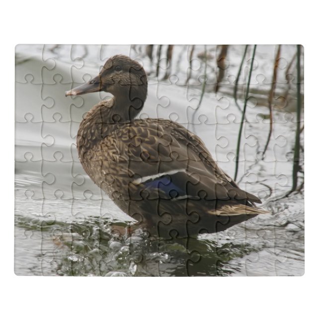 Grey duck on dark the lake jigsaw puzzle (Puzzle Horizontal)