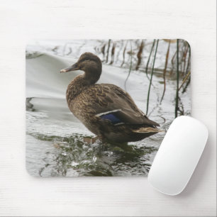 Grey duck on dark the lake mouse pad