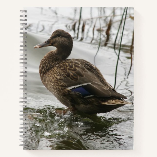 Grey duck on dark the lake notebook (Front)
