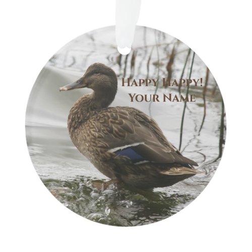 Grey duck on dark the lake ornament