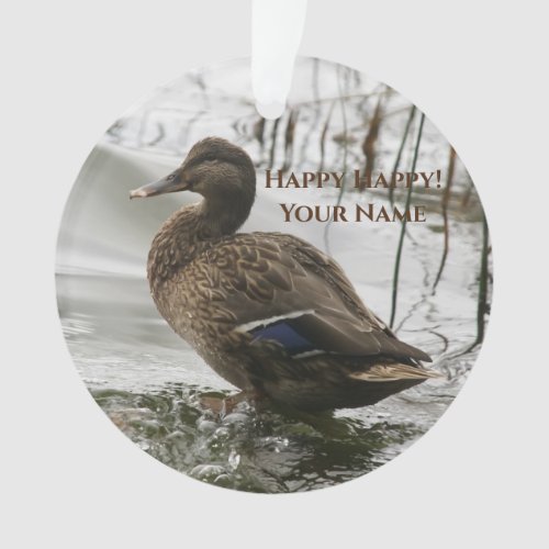 Grey duck on dark the lake ornament