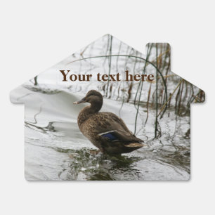 Grey duck on dark the lake sign