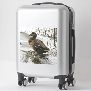 Grey duck on dark the lake sticker