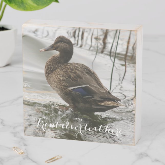 Grey duck on dark the lake wooden box sign (In Situ Horizontal)