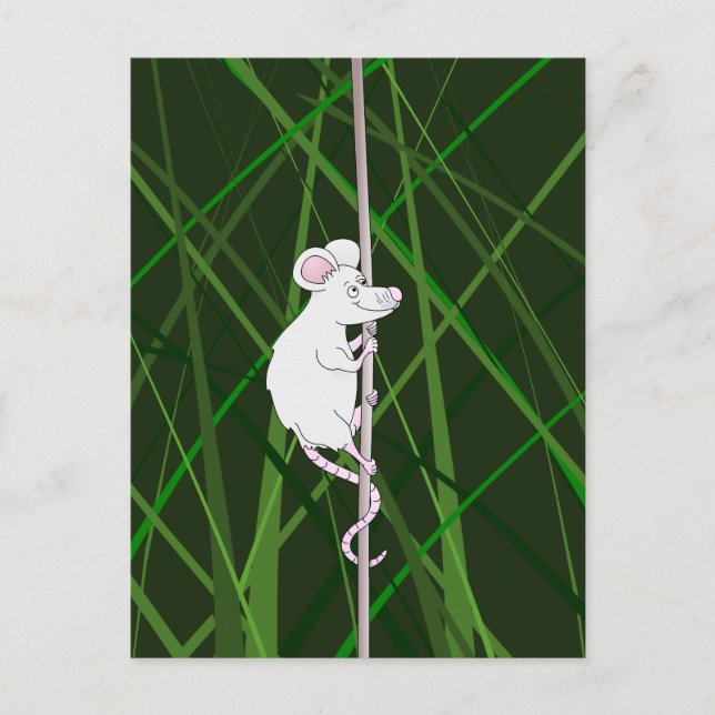 Grey field mouse in the tall grass postcard (Front)