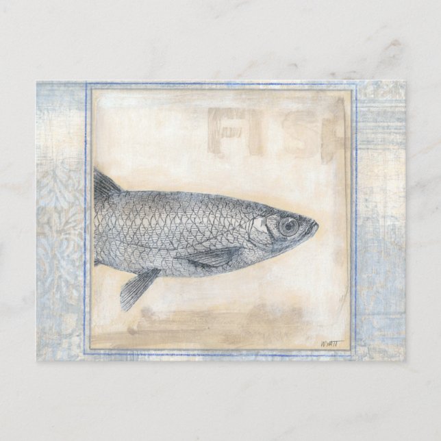 Grey Fish on Beige Background Postcard (Front)