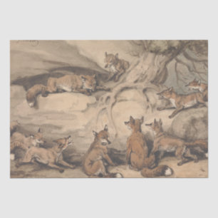 Grey Fox (Canis Virginianus) Tissue Paper