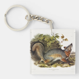 Grey Fox / Gray Fox Audubon's American Quadrupeds Keychain