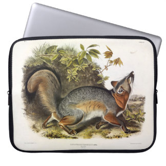 Grey Fox / Gray Fox Audubon's American Quadrupeds Laptop Sleeve