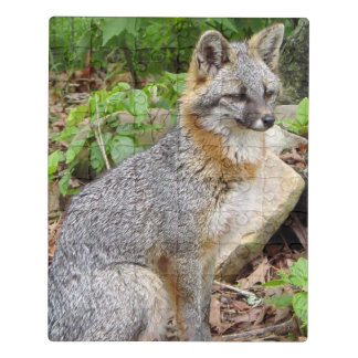Grey Fox Posing Jigsaw Puzzle