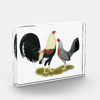 Grey Game Fowl Pair Acrylic Award
